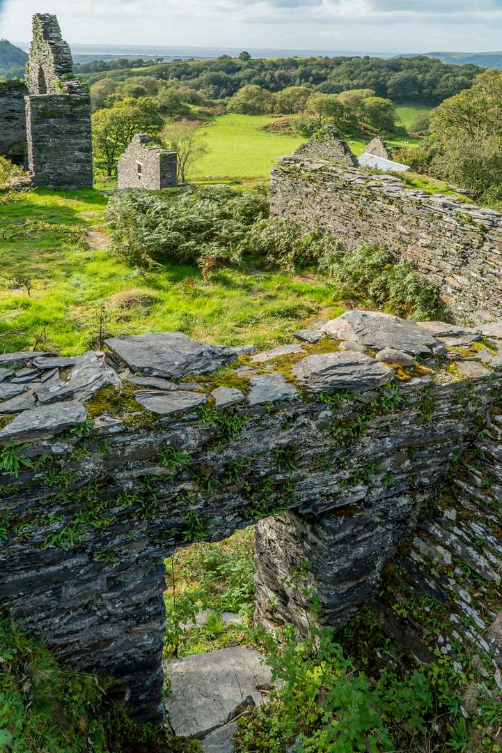 Bryndyfi dressing floors 25.9.18-6-32